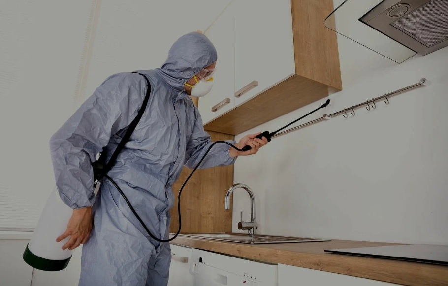 Martinez pest managment